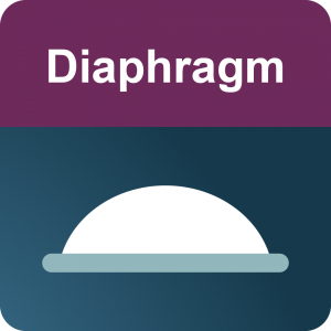 Birth Control | Diaphragm