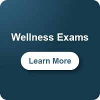 Wellness Exams, also known as "Annual Exams" are routine preventative visits that you should schedule with your provider on a regular basis. Learn more about these important preventative visits. Wellness Exams